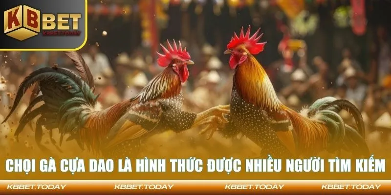 Chọi gà cựa dao là hình thức được nhiều người tìm kiếm