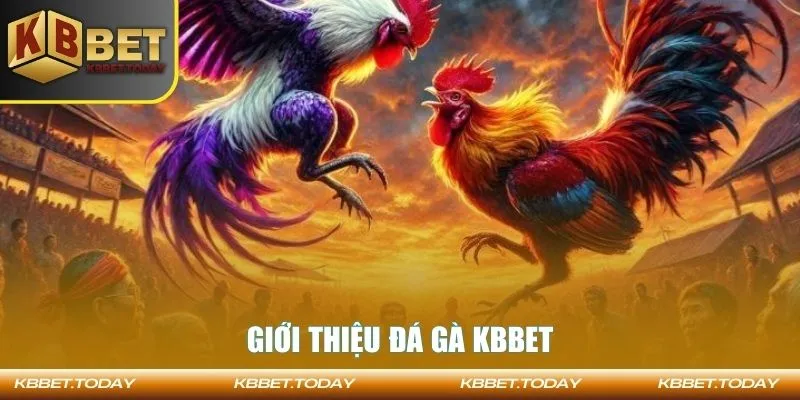 Giới thiệu đá gà KBBET