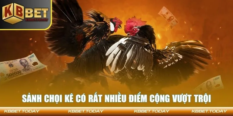 Sảnh chọi kê có rất nhiều điểm cộng vượt trội